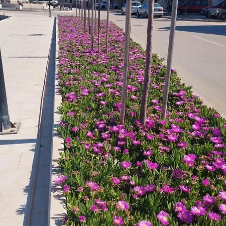 Luxury Skalinada Near Beaches, - Dalmatia